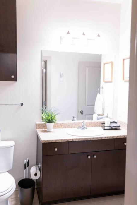 Amplify Spaces 1 And 2 Bedroom Apartments, Downtown Birmingham, Uab 외부 사진